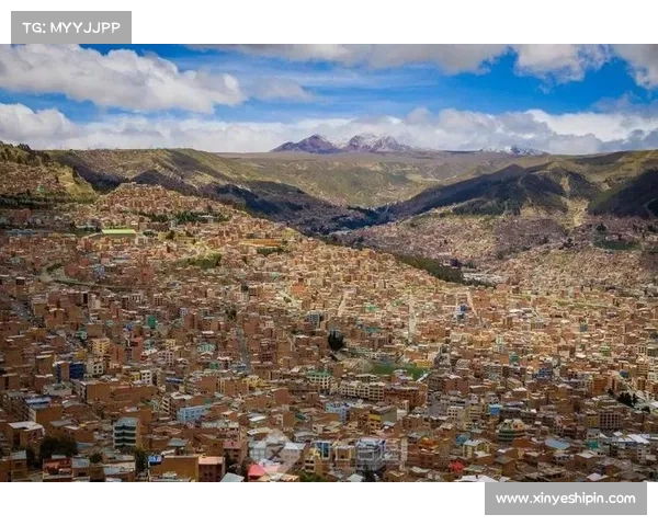 世预赛南美区玻利维亚拉巴斯主场海拔挑战成焦点分析